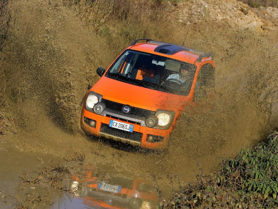  Fiat Panda Cross 2005 года  (фото 9 из 48)